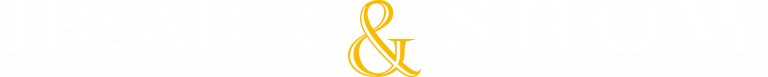 Logo Theater und Show Effekte GmbH